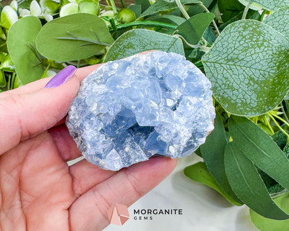 Raw Celestite Cluster No. 8 – Sky Blue Geode Specimen for High Vibration & Inner Peace
