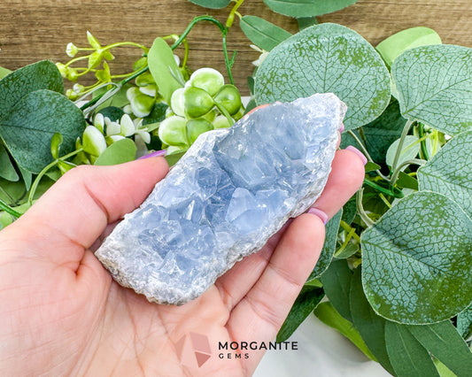 Raw Celestite Cluster No. 9 – Sky Blue Geode Specimen for High Vibration & Inner Peace