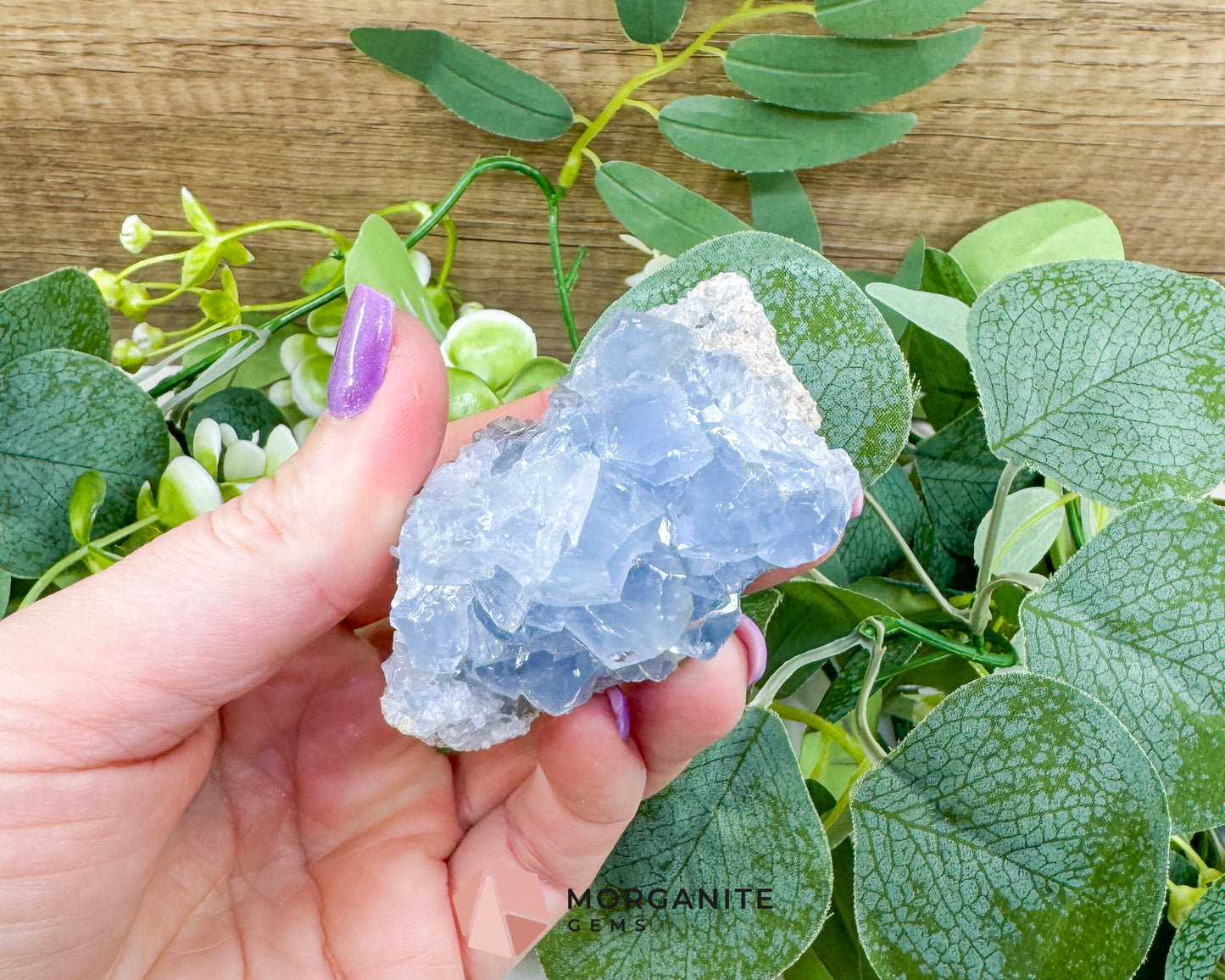 Raw Celestite Clusters – Sky Blue Geode Specimens for High Vibration, Meditation, & Peaceful Sleep (Choice Selection)