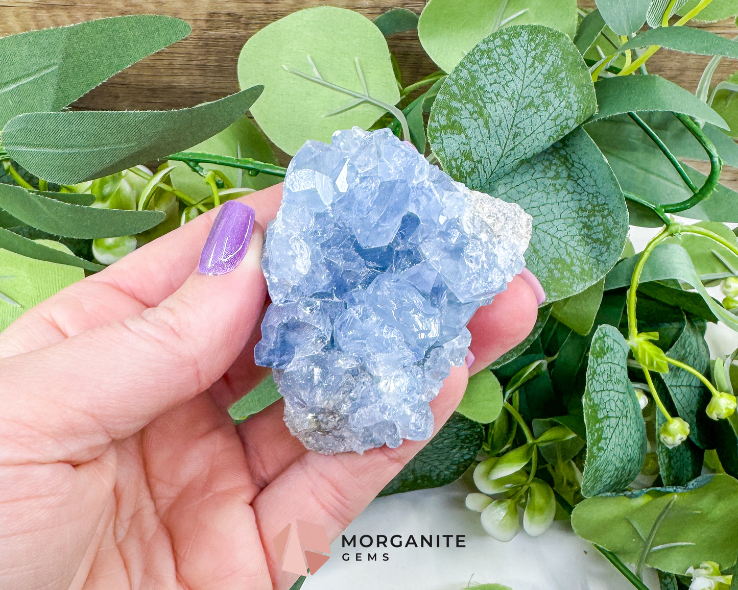 Raw Celestite Clusters – Sky Blue Geode Specimens for High Vibration, Meditation, & Peaceful Sleep (Choice Selection)