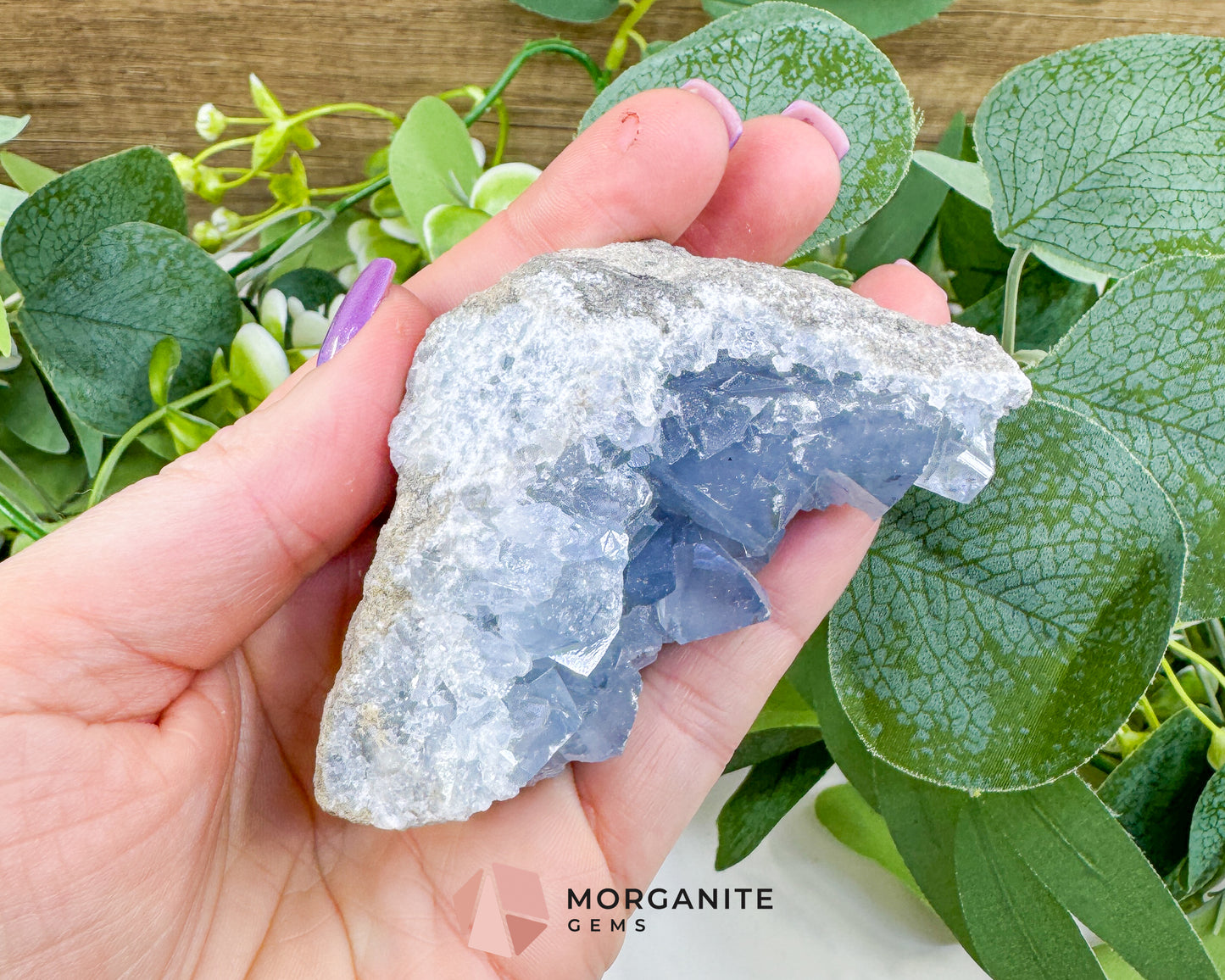 Raw Celestite Clusters – Sky Blue Geode Specimens for High Vibration, Meditation, & Peaceful Sleep (Choice Selection)
