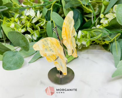 Citrine Crystal Butterfly Wings on Metal Stand – 5" Hand-Carved Solar Plexus Stone for Manifestation & Joy