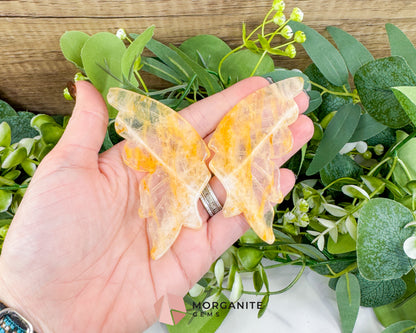 Citrine Crystal Butterfly Wings on Metal Stand – 5" Hand-Carved Solar Plexus Stone for Manifestation & Joy