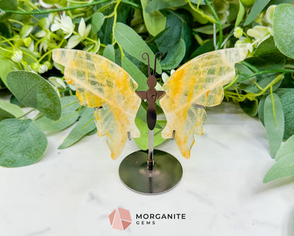 Citrine Crystal Butterfly Wings on Metal Stand – 5" Hand-Carved Solar Plexus Stone for Manifestation & Joy