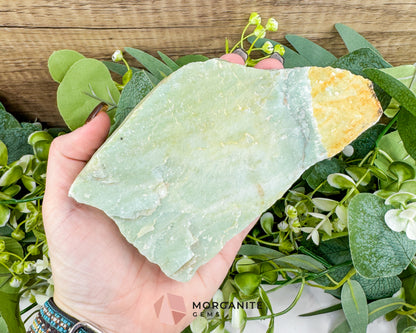 Premium 1lb 10oz Wyoming Nephrite Jade Specimen – 5.4" "Green Gold" Rough – Collector Grade Heart Chakra Stone for Prosperity & Vitality