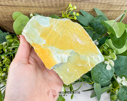 Premium 1lb 10oz Wyoming Nephrite Jade Specimen – 5.4" "Green Gold" Rough – Collector Grade Heart Chakra Stone for Prosperity & Vitality
