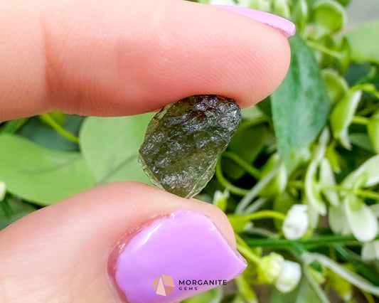 Moldavite Specimen No. 1 | Authentic Czech Tektite for Transformation Protection & Cosmic Energy - Metaphysical Crystals