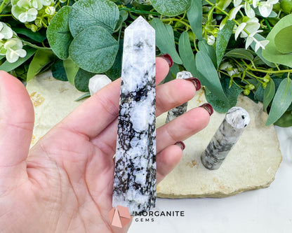 Rainbow Moonstone Tower 4-4.5 Inch Crystal Point for Intuition Goddess Energy & New Beginnings