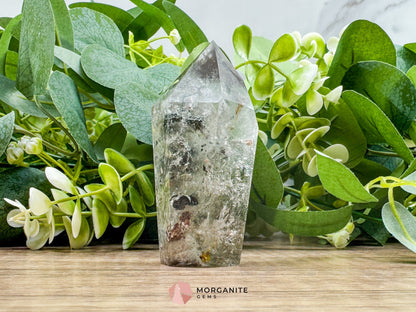 AAA Quality Garden Quartz Tower – Lodolite Crystal for Manifestation & Spiritual Growth No. 4 - Metaphysical Crystals