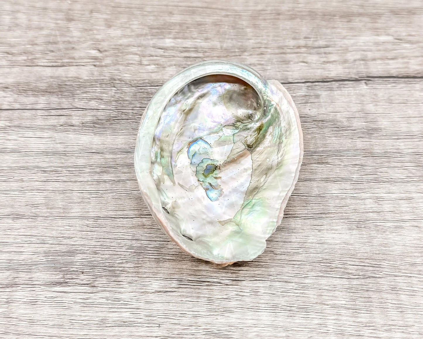 Abalone Shell - Radiant Vessel for Sacred Smudging-Morganite Gems