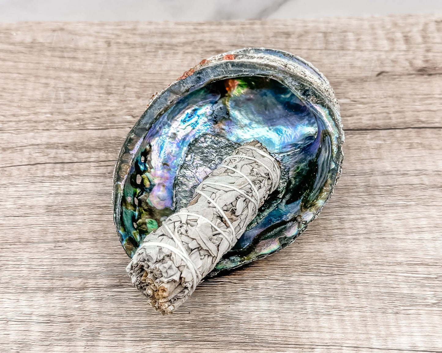 Abalone Shell - Radiant Vessel for Sacred Smudging-Morganite Gems