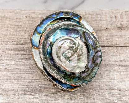 Abalone Shell - Radiant Vessel for Sacred Smudging-Morganite Gems