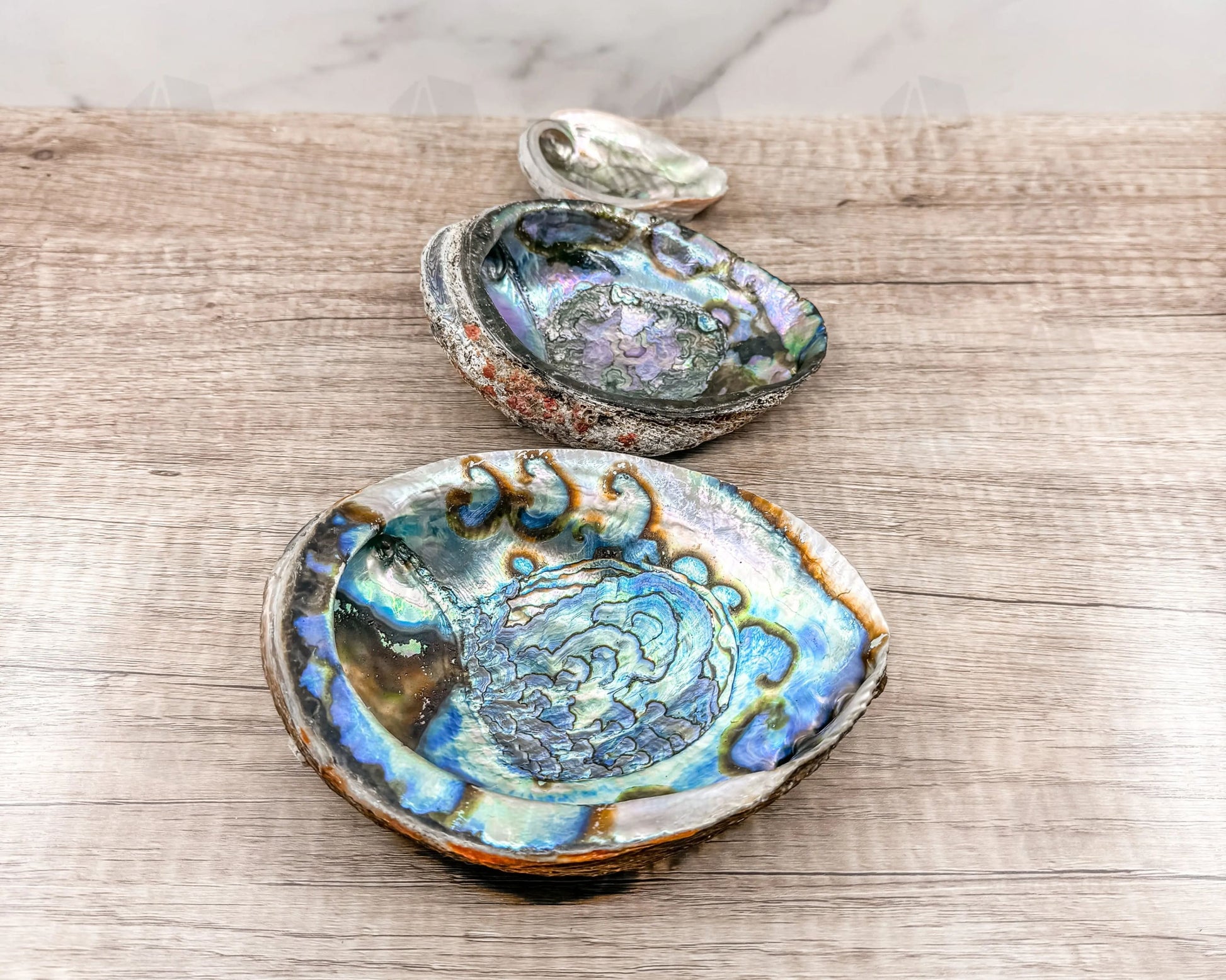 Abalone Shell - Radiant Vessel for Sacred Smudging-Morganite Gems