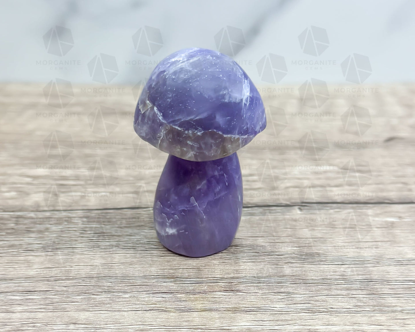 Amethyst Mushroom Carving – Matte Polished Finish for Spiritual Clarity and Protection-Morganite Gems