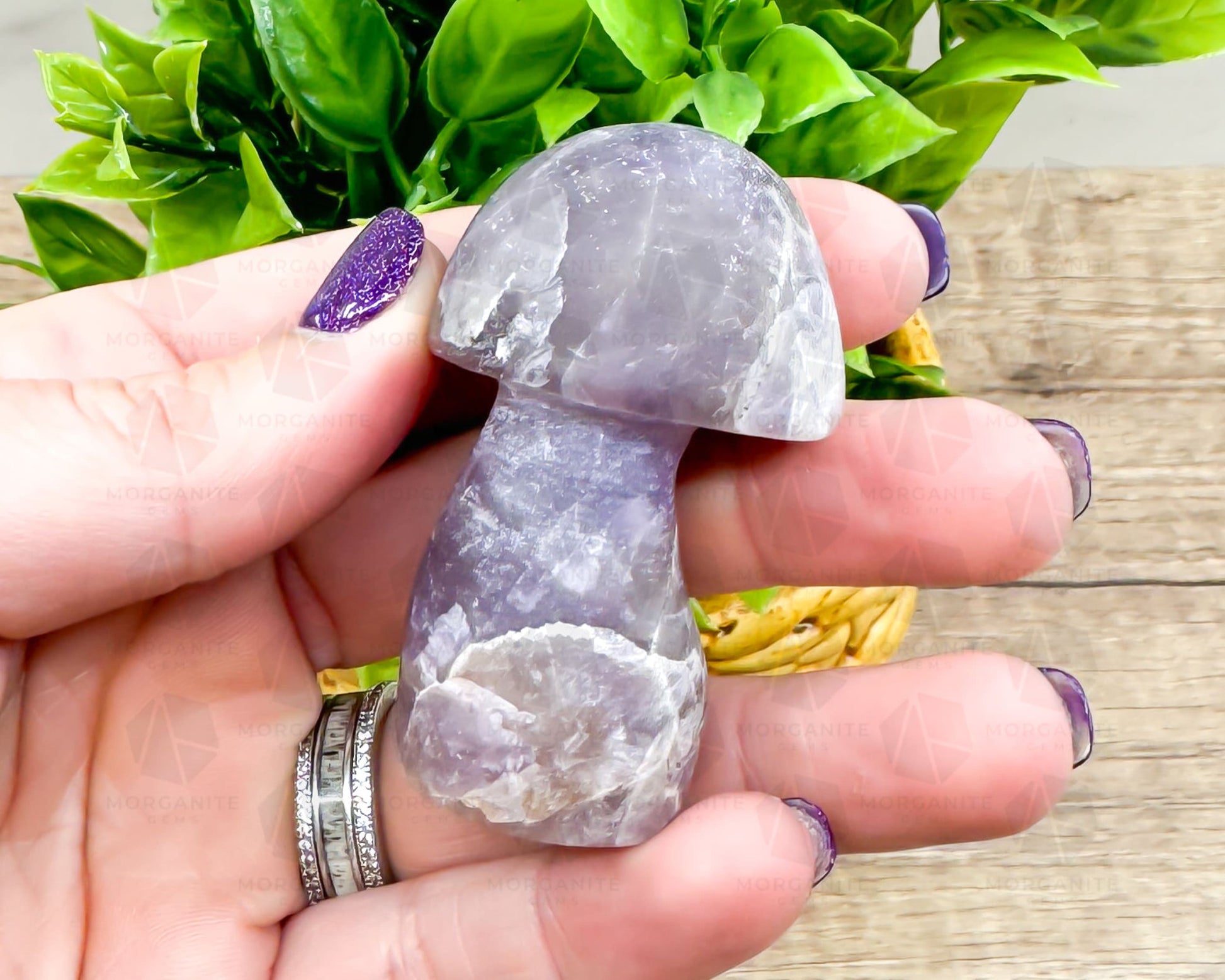 Amethyst Mushroom Carving – Matte Polished Finish for Spiritual Clarity and Protection-Morganite Gems