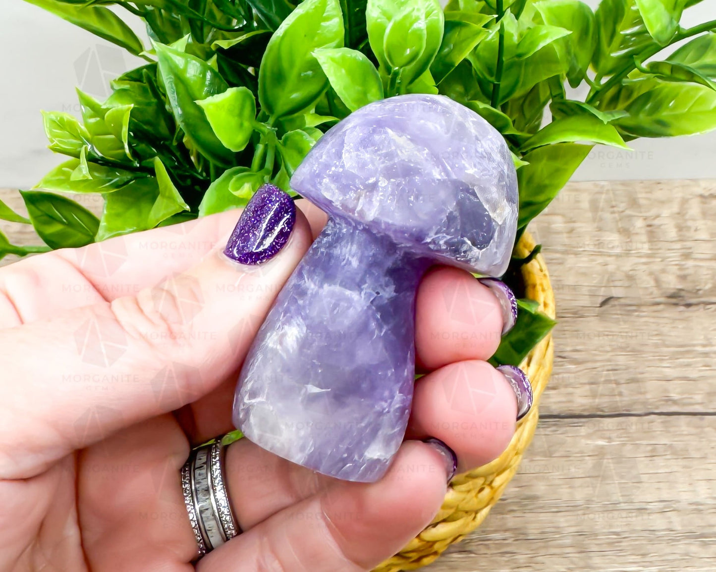 Amethyst Mushroom Carving – Matte Polished Finish for Spiritual Clarity and Protection-Morganite Gems