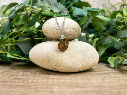 Ammonite Fossil Necklace - I - Crystal Necklaces