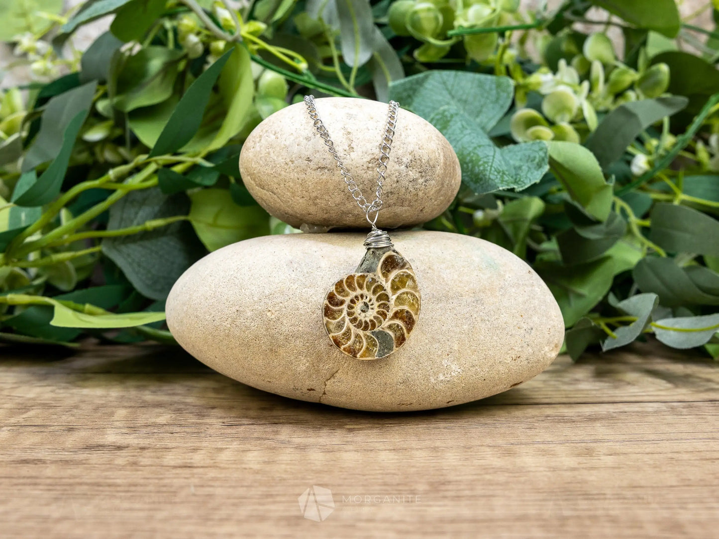 Ammonite Fossil Necklace - A - Crystal Necklaces