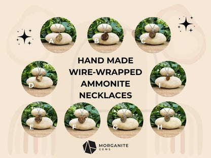 Ammonite Fossil Necklace - Crystal Necklaces