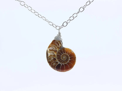 Ammonite Fossil Necklace-Morganite Gems