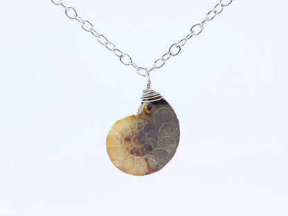 Ammonite Fossil Necklace-Morganite Gems