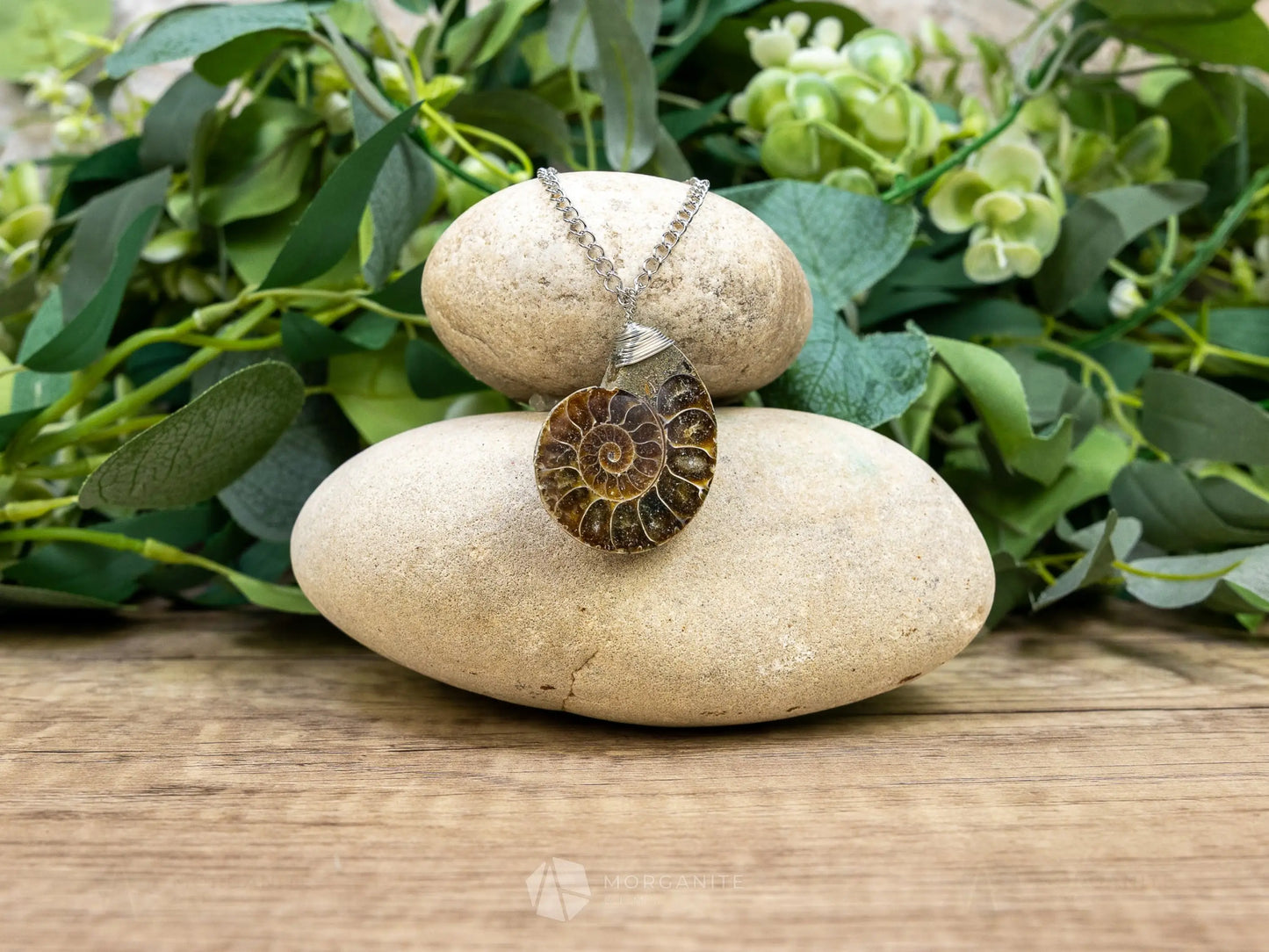 Ammonite Fossil Necklace - C - Crystal Necklaces