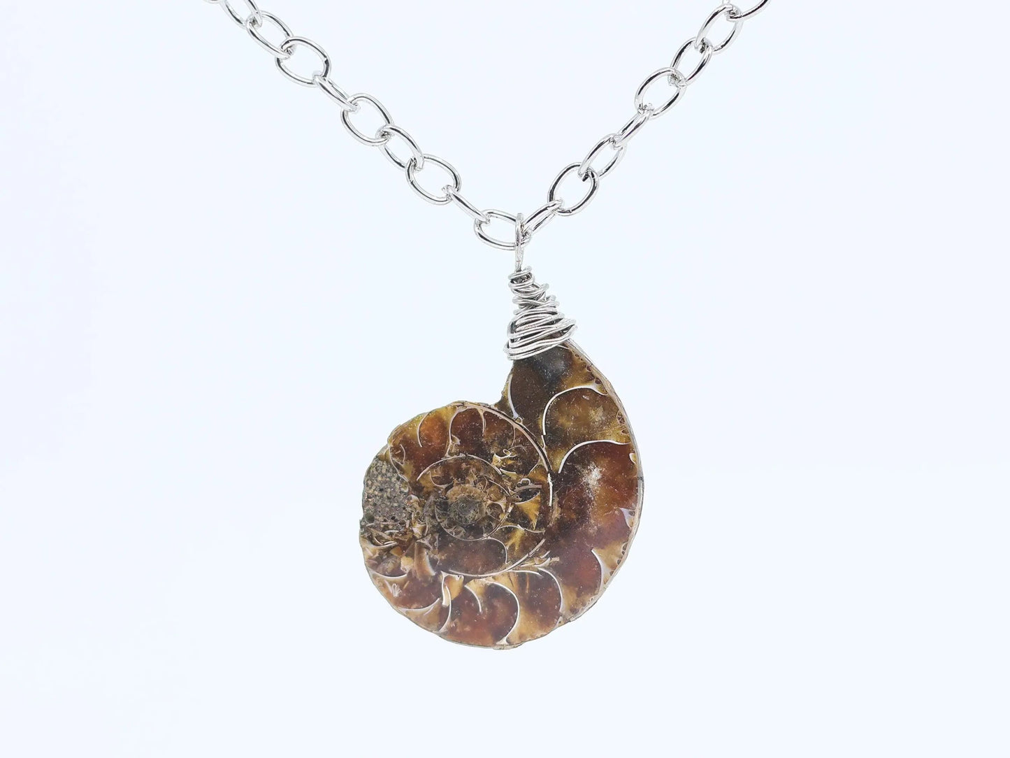 Ammonite Fossil Necklace-Morganite Gems