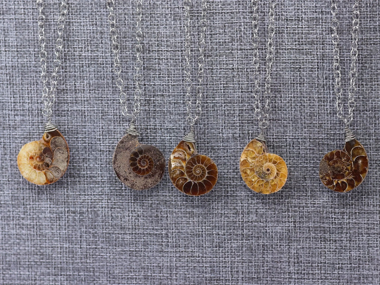 Ammonite Fossil Necklace-Morganite Gems