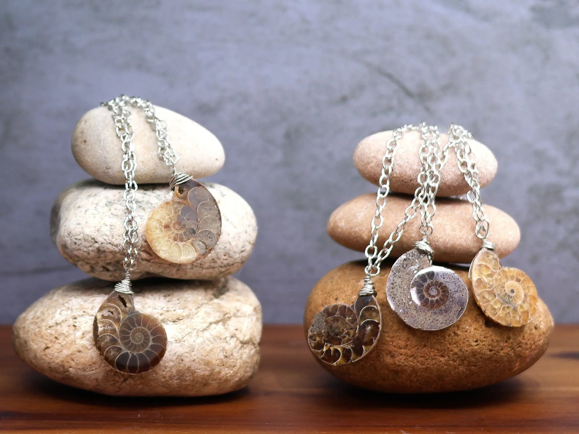 Ammonite Fossil Necklace-Morganite Gems