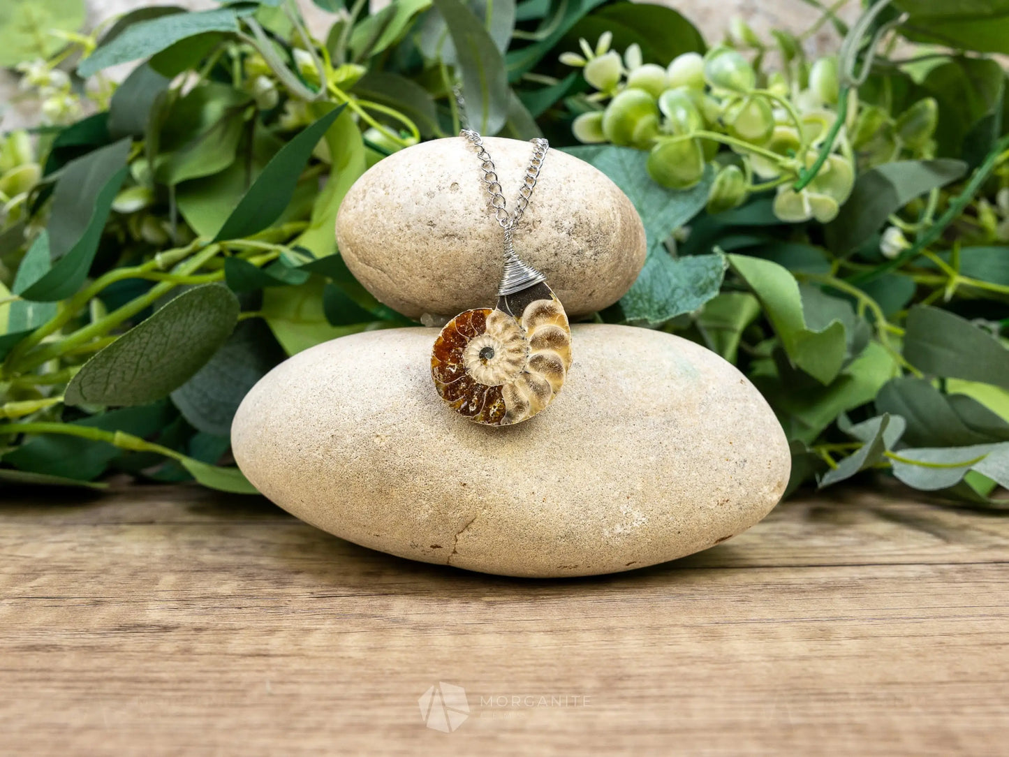 Ammonite Fossil Necklace - D - Crystal Necklaces