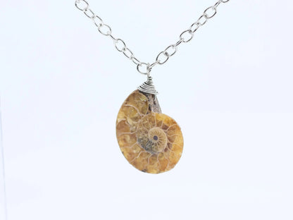 Ammonite Fossil Necklace-Morganite Gems