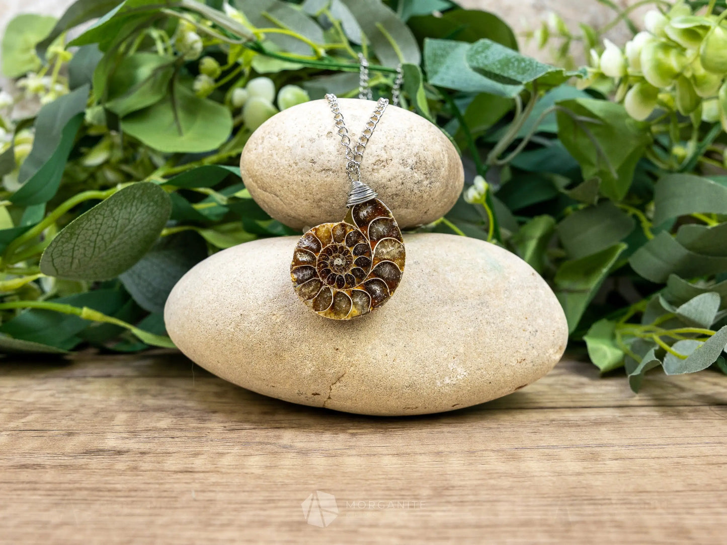 Ammonite Fossil Necklace - E - Crystal Necklaces