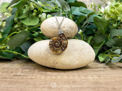 Ammonite Fossil Necklace - E - Crystal Necklaces