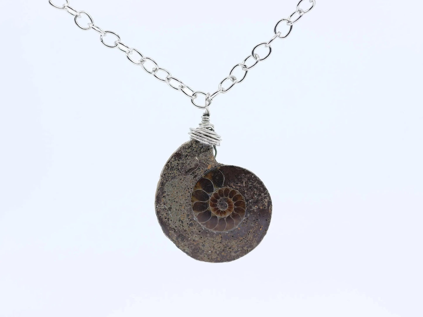 Ammonite Fossil Necklace-Morganite Gems