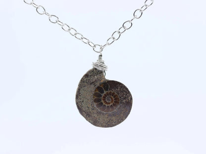 Ammonite Fossil Necklace-Morganite Gems