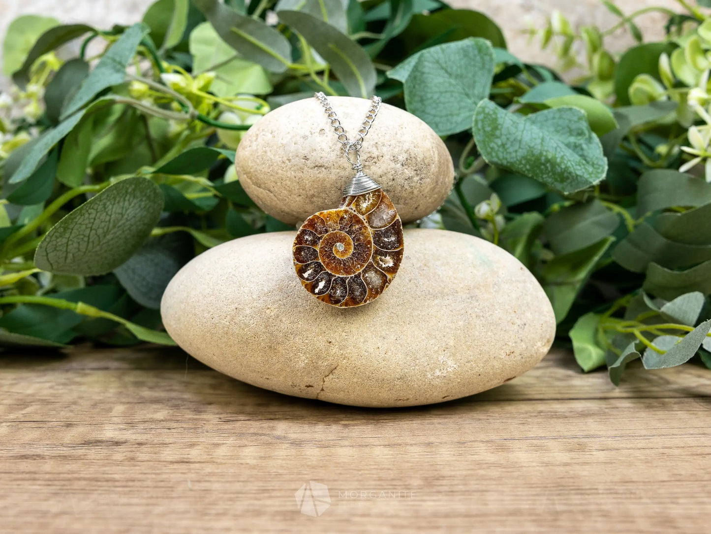 Ammonite Fossil Necklace - F - Crystal Necklaces