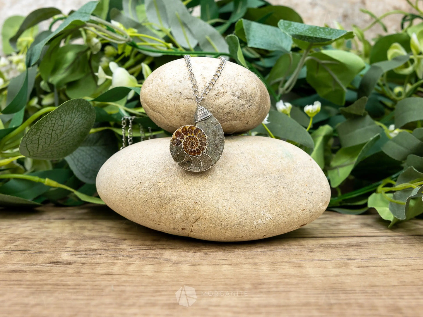 Ammonite Fossil Necklace - G - Crystal Necklaces