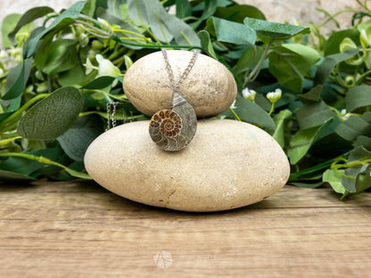 Ammonite Fossil Necklace - G - Crystal Necklaces