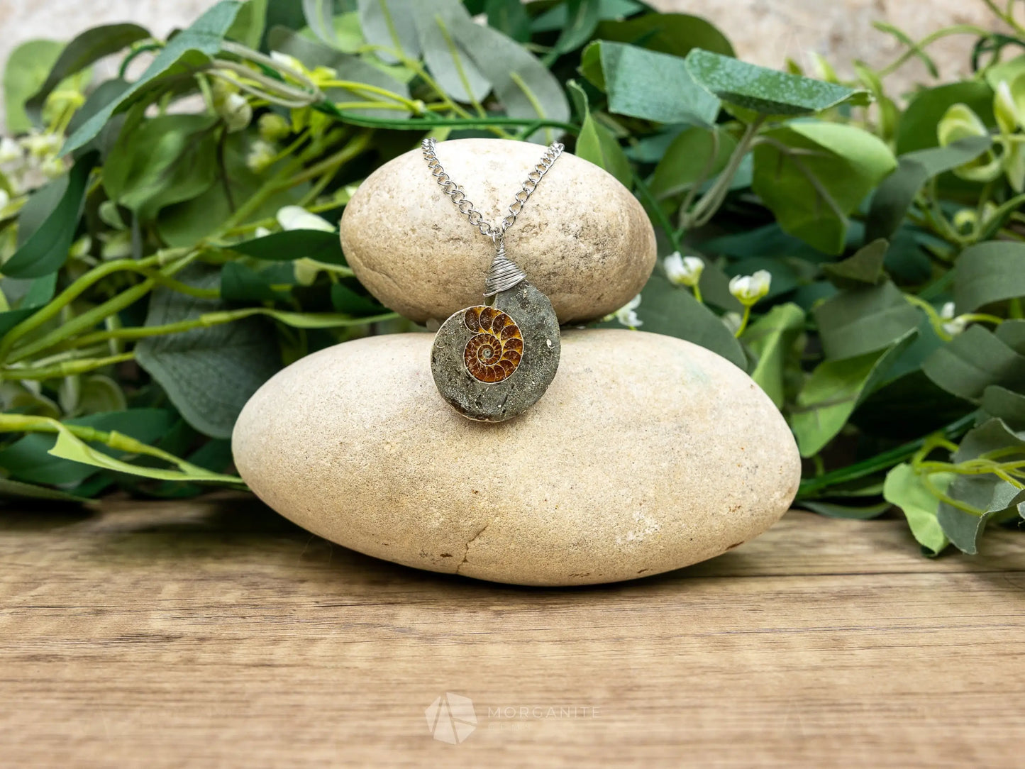 Ammonite Fossil Necklace - H - Crystal Necklaces