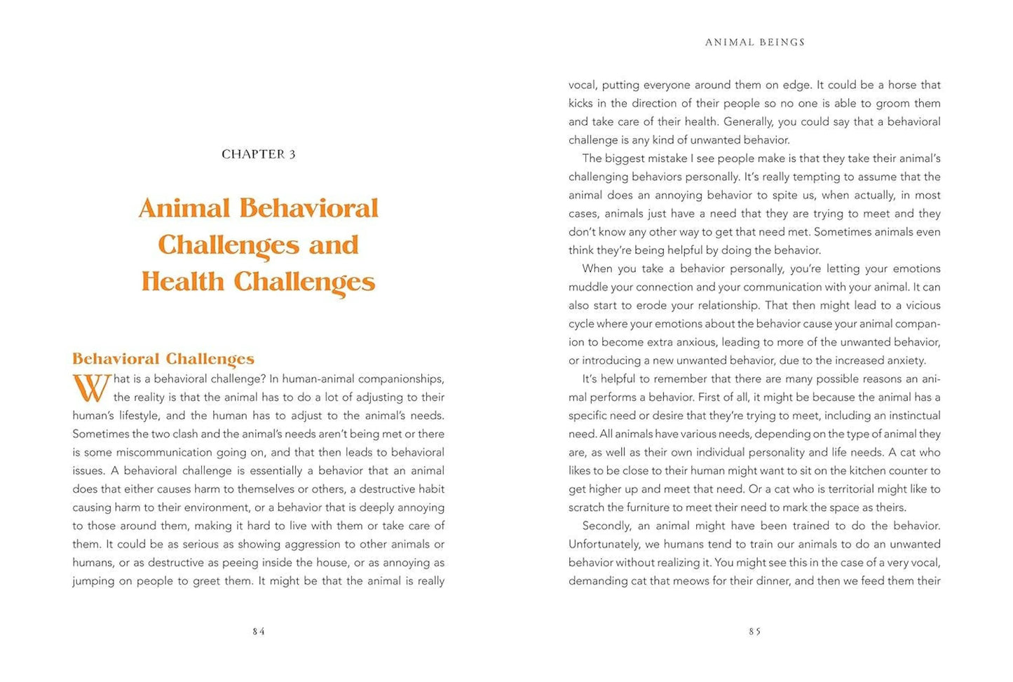 Animal Intuition: Communicating with Pets, Spirits & Energy-Morganite Gems