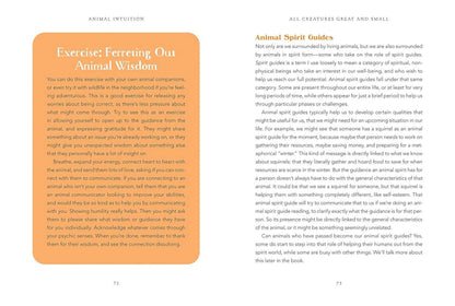 Animal Intuition: Communicating with Pets, Spirits & Energy-Morganite Gems