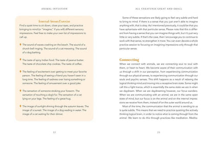 Animal Intuition: Communicating with Pets, Spirits & Energy-Morganite Gems