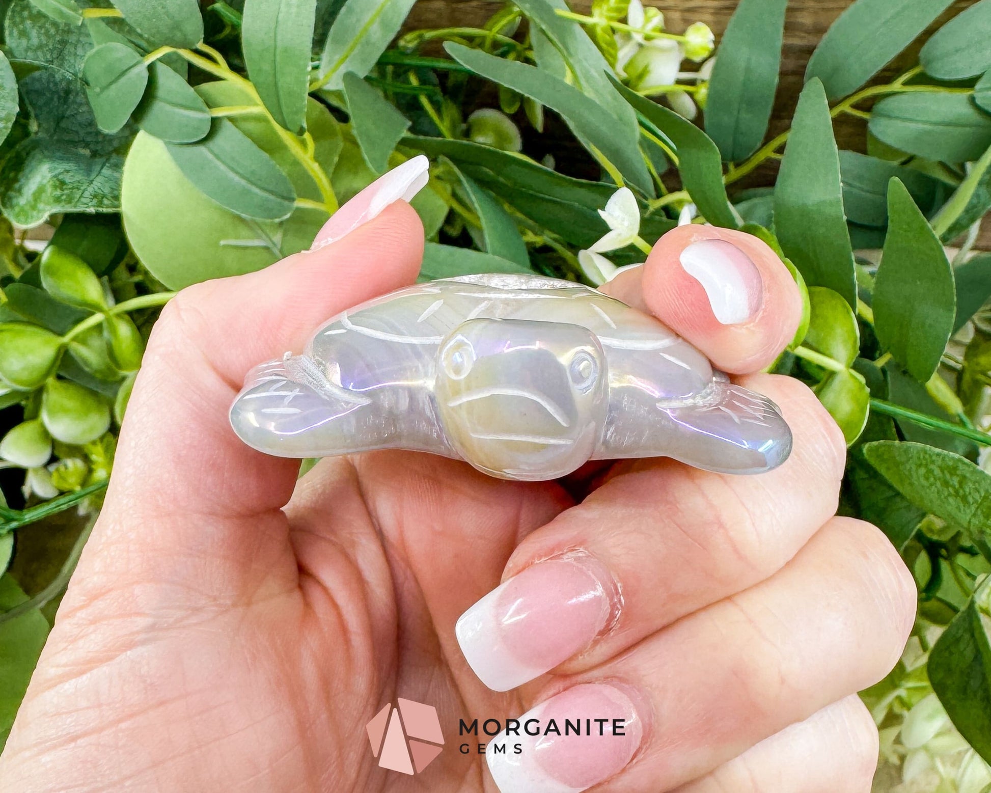 Aura Druzy Agate Turtle – 2.5’’ Crystal Carving for Peace Transformation & Protective Energy - Metaphysical Crystals