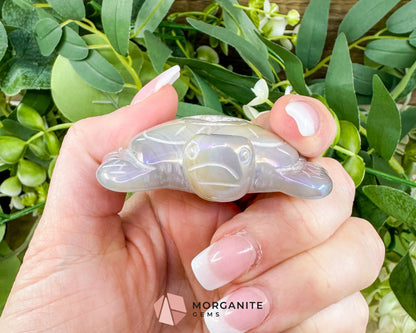 Aura Druzy Agate Turtle – 2.5’’ Crystal Carving for Peace Transformation & Protective Energy - Metaphysical Crystals