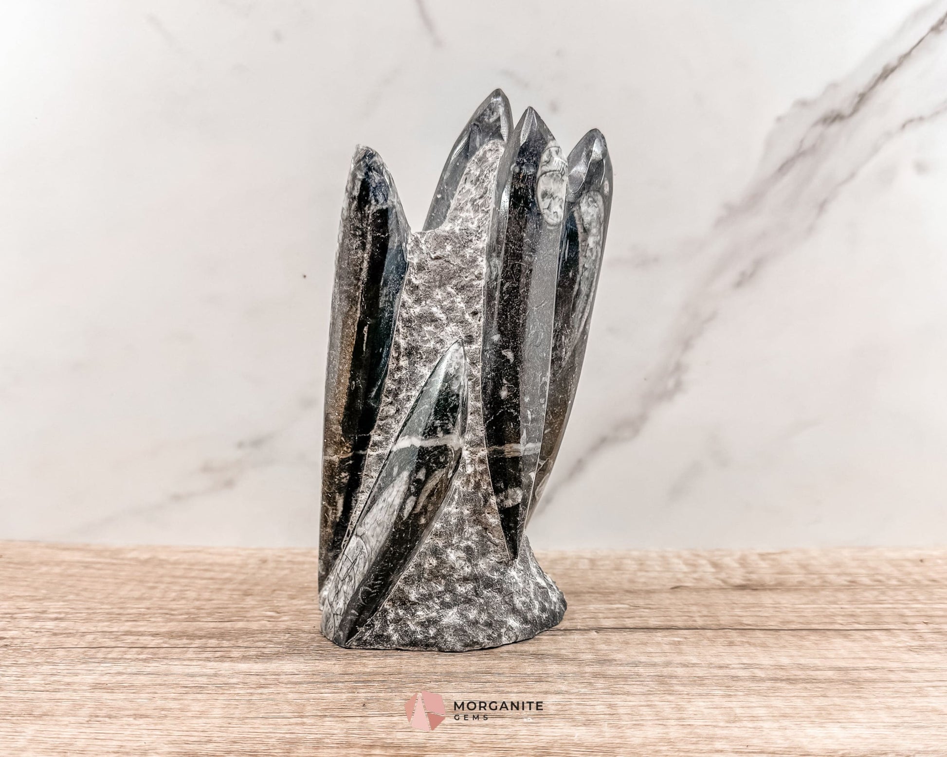 Black Orthoceras Fossil Tower – Ancient Elegance in Polished Stone-Morganite Gems