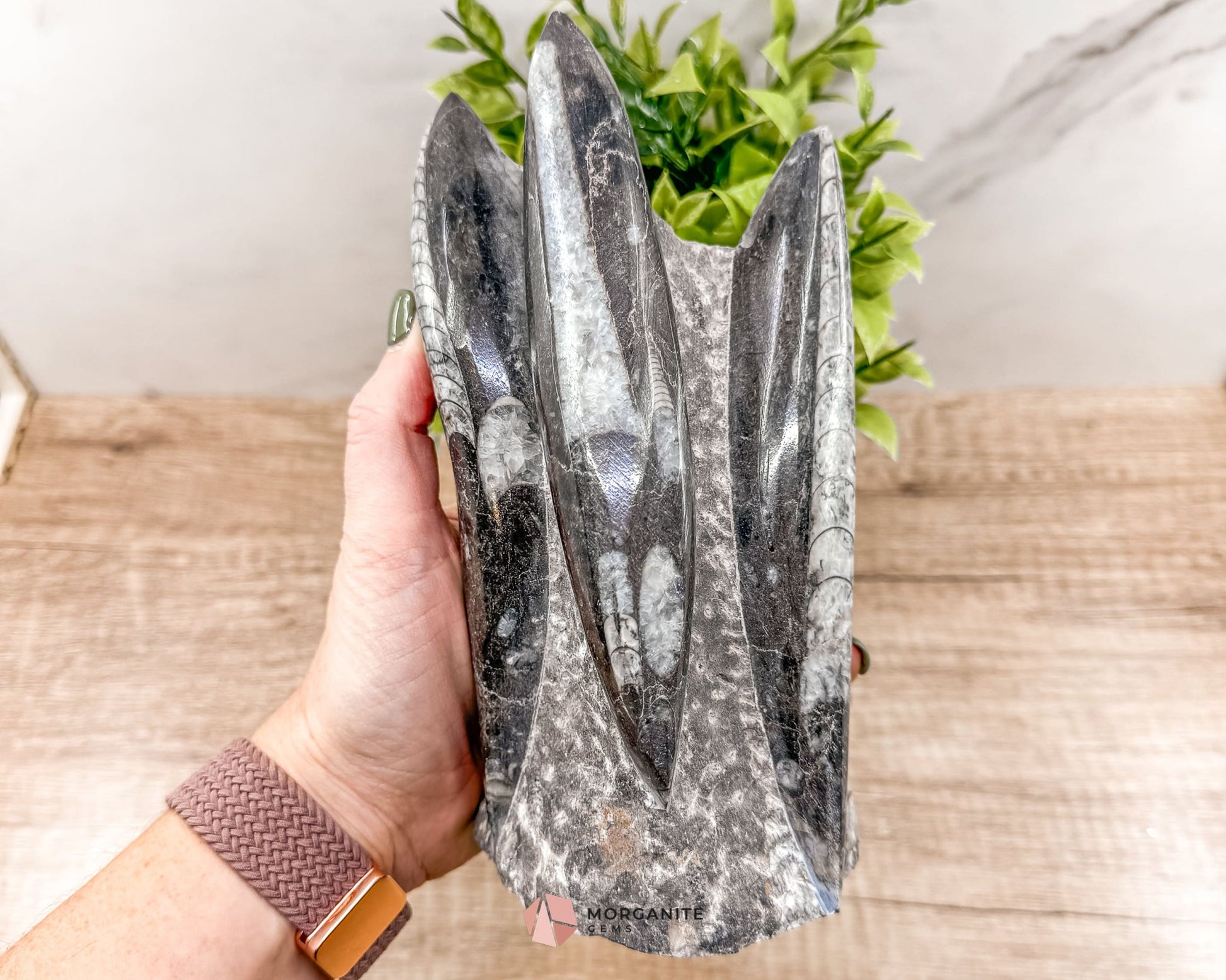 Black Orthoceras Fossil Tower – Ancient Elegance in Polished Stone-Morganite Gems