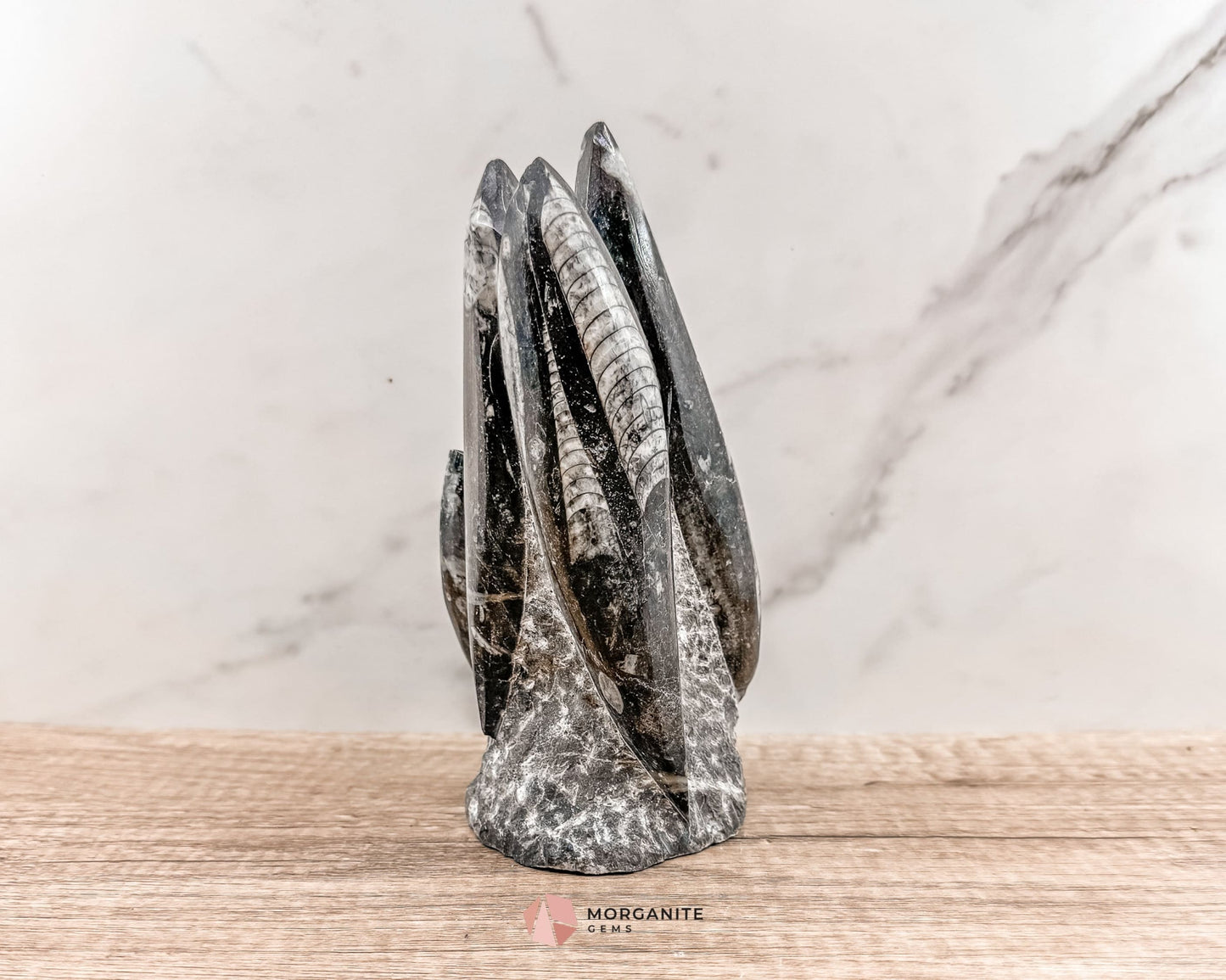 Black Orthoceras Fossil Tower – Ancient Elegance in Polished Stone-Morganite Gems