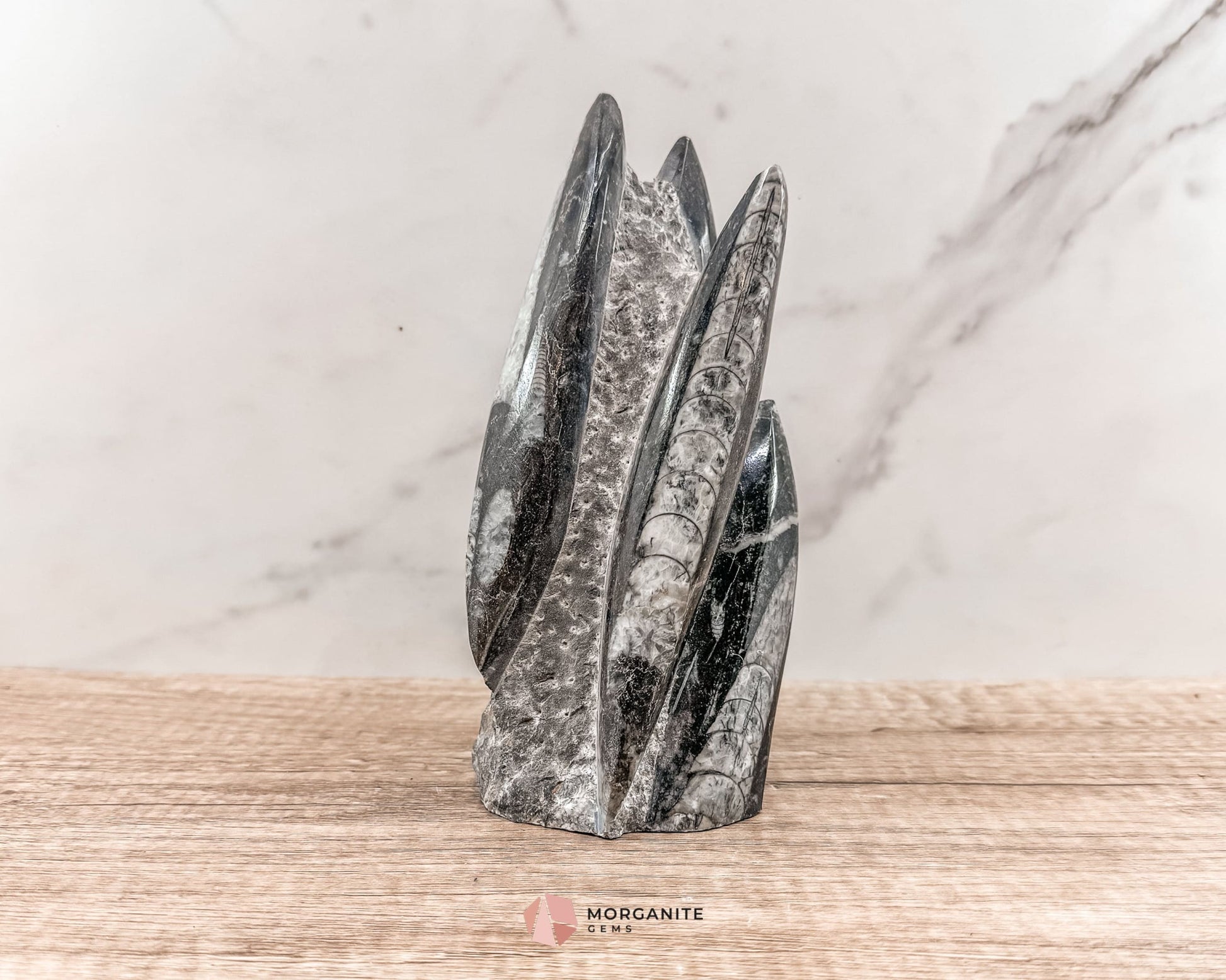 Black Orthoceras Fossil Tower – Ancient Elegance in Polished Stone-Morganite Gems