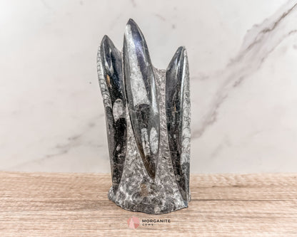 Black Orthoceras Fossil Tower – Ancient Elegance in Polished Stone-Morganite Gems