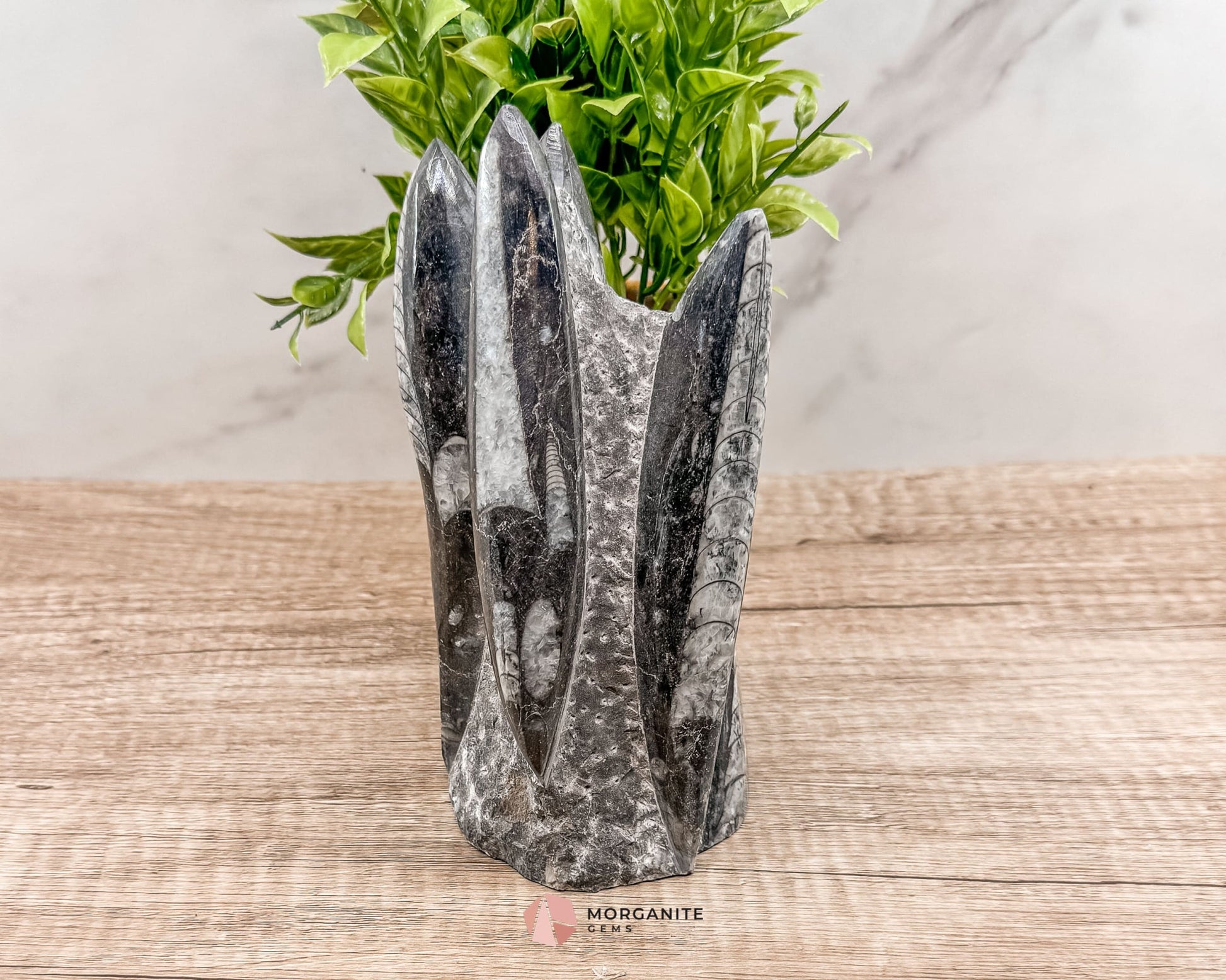 Black Orthoceras Fossil Tower – Ancient Elegance in Polished Stone-Morganite Gems